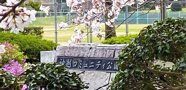 都市公園事業